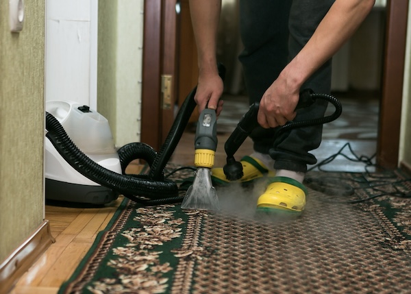 Carpet & Upholstery Care Tips Portland OR