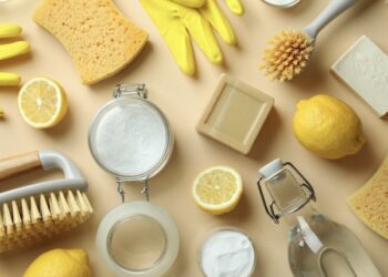 Eco Friendly Cleaning Products & Techniques Portland OR